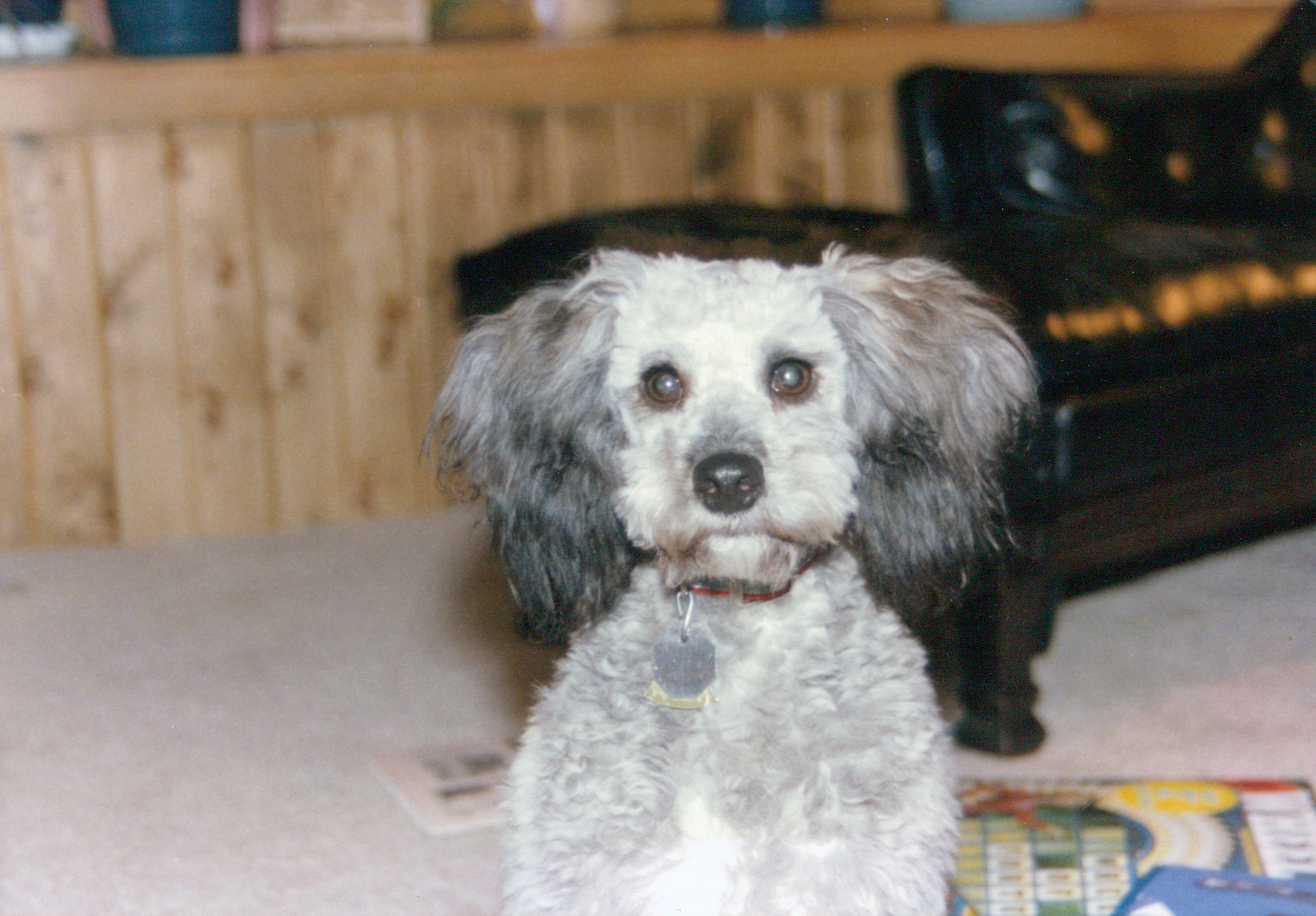 Ripley, with painted nails