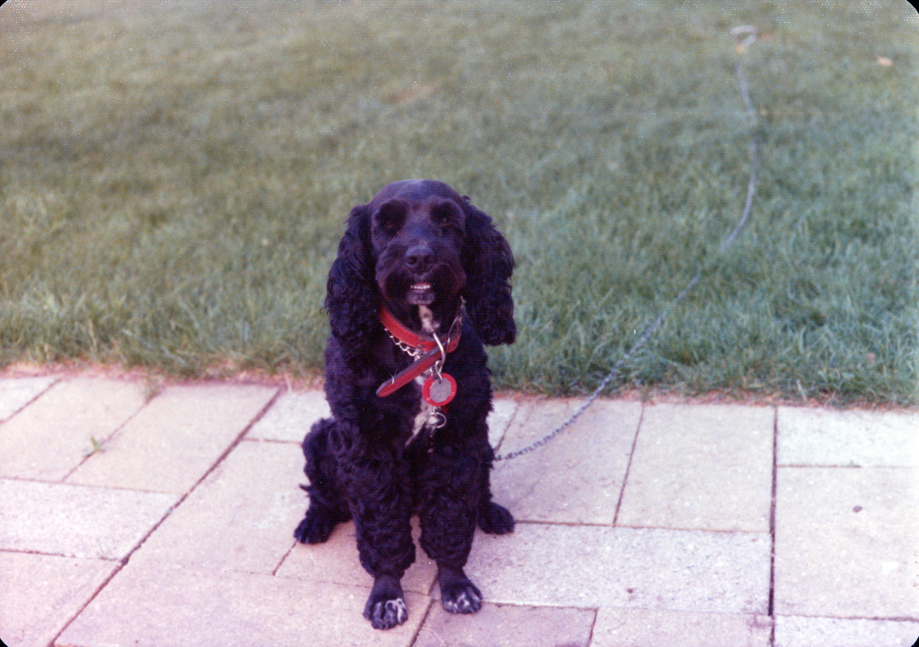 Ripley, with painted nails
